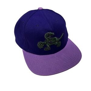 Purple Toronto Raptors NBA snapback hat